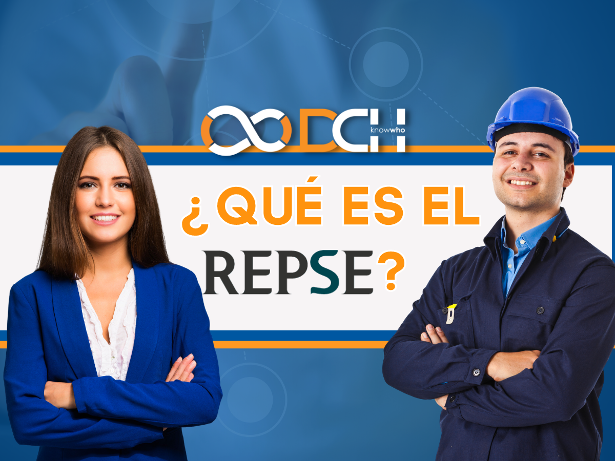 ¿quÉ Es El Repse Dch Servicios Especializadosemk 0512